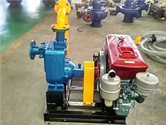YD-ZW小型便捷式柴油機應急消防栓泵